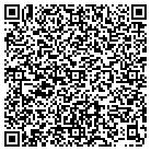 QR code with Baltimore & Ohio Railroad contacts