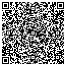 QR code with Carters Painting contacts