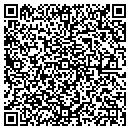 QR code with Blue Rock Farm contacts