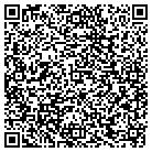 QR code with Chaney Custom Services contacts