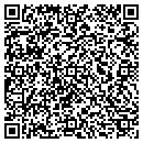 QR code with Primitive Collection contacts
