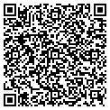 QR code with M Link contacts