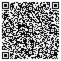 QR code with Depot contacts