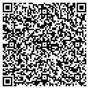 QR code with Cottages At Snow King contacts