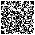 QR code with Neways contacts