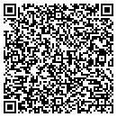 QR code with Cave Creek Consulting contacts