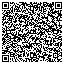 QR code with County of Albany contacts