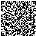 QR code with Willows contacts