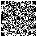 QR code with Carls Satellite Service contacts
