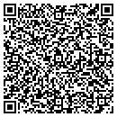 QR code with BLR Industries Inc contacts