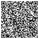 QR code with Balsam Geoconsulting contacts