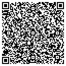 QR code with Pyxis Communications contacts