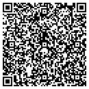 QR code with Coating Systems Inc contacts