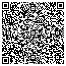 QR code with Connection To Health contacts