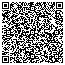 QR code with Cognisa Security contacts