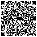QR code with Blue Pine Log Homes contacts