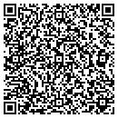 QR code with Bluemel's Pump Truck contacts