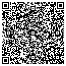 QR code with Carrier Bookkeeping contacts