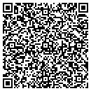 QR code with Professional Pools contacts