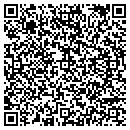 QR code with Pyhnexus Inc contacts