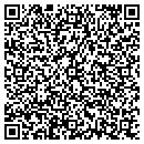 QR code with Prem Imports contacts