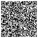 QR code with Professional Lures contacts