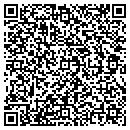 QR code with Carat Interactive Inc contacts