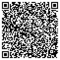 QR code with Csgs 40 contacts