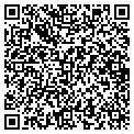 QR code with Gushi contacts