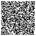 QR code with LSW Co contacts
