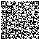 QR code with Castile Run Farm LLC contacts