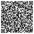 QR code with Stumps contacts