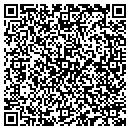 QR code with Professional Courier contacts