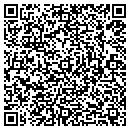 QR code with Pulse Link contacts