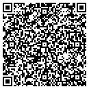 QR code with Cakebread Vineyards contacts
