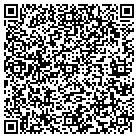 QR code with Pulse Power Systems contacts