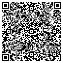 QR code with Pulse Industries contacts