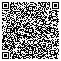 QR code with 99tint contacts
