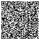 QR code with Push Commerce contacts