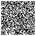 QR code with Accent contacts