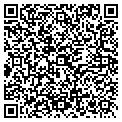QR code with Cicero Oil CO contacts