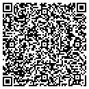 QR code with Cyclone Cleaning Corp contacts