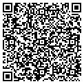 QR code with Cgfs contacts