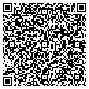 QR code with Proceltek Inc contacts