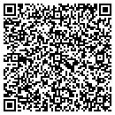 QR code with Precise Voting LLC contacts