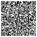 QR code with Caribbean Auto Design contacts
