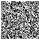 QR code with Prince Street Center contacts