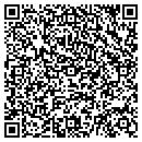 QR code with Pumpalarm Com LLC contacts