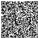 QR code with Premier Pets contacts
