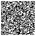 QR code with Aero-Excel LLC contacts